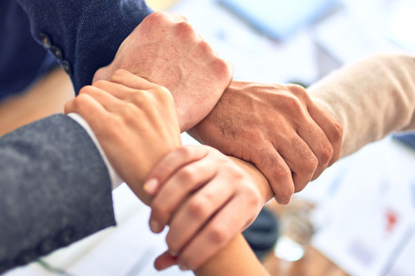 毎月一定額で専門家チームを雇え